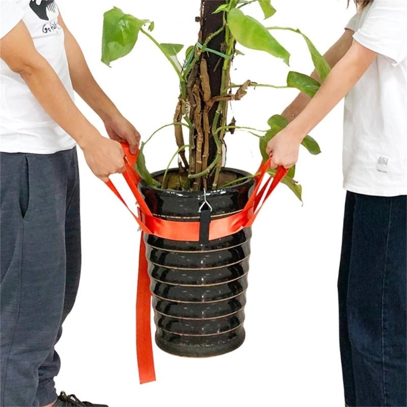 สายรัดการยกพืชไม้กระถางเพื่อทำ - Heavy Equipment Transport บทวิจารณ์และราคา
